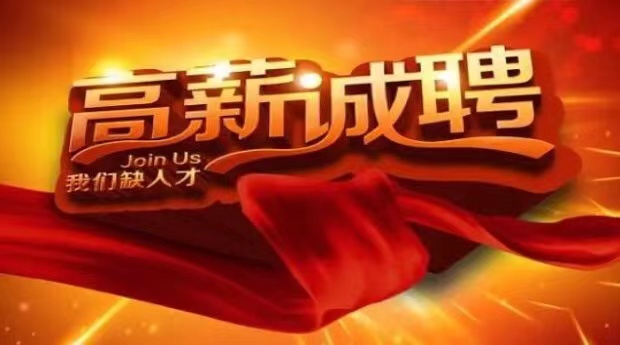大圈伴游招聘